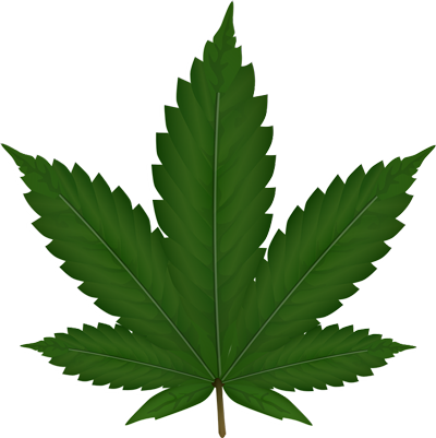 cannabis foglia