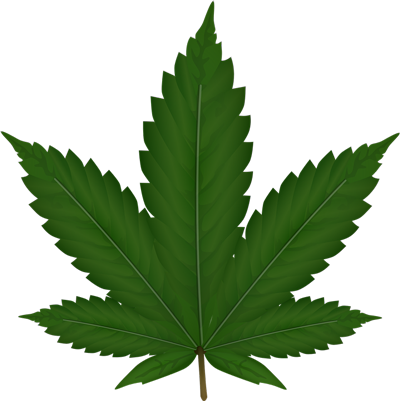 cannabis foglia