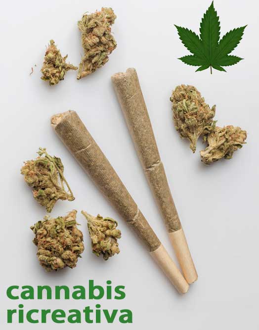 cannabis ricreativa