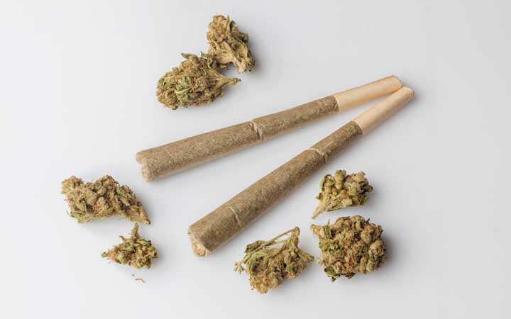 cannabis spinelli
