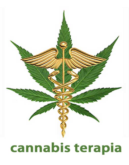 cannabis terapia