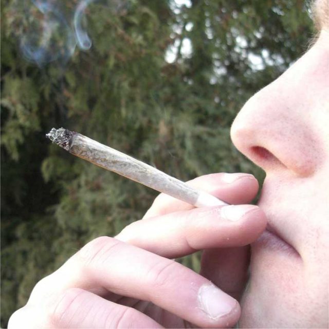 spinello di marijuana